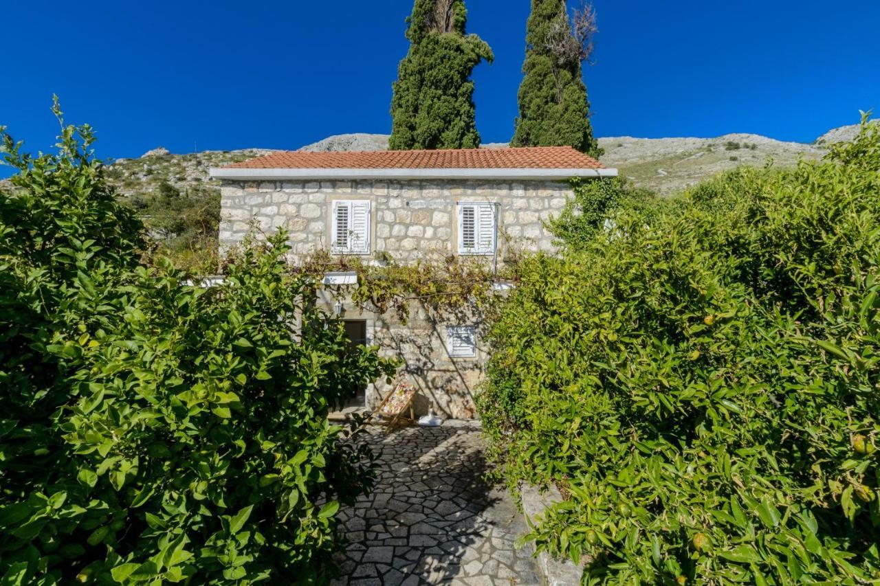 Villa Soline Mlini Exterior photo